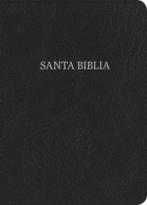BIBLIA NVI LETRA GRANDE TAMAÑO MANUAL CON ÍNDICE1