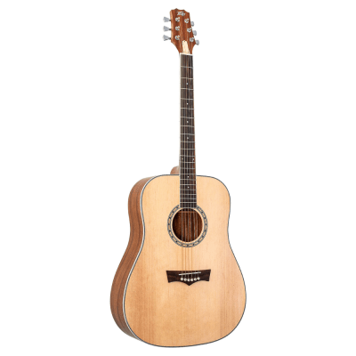GUITARRA ACUSTICA PEAVEY DW11
