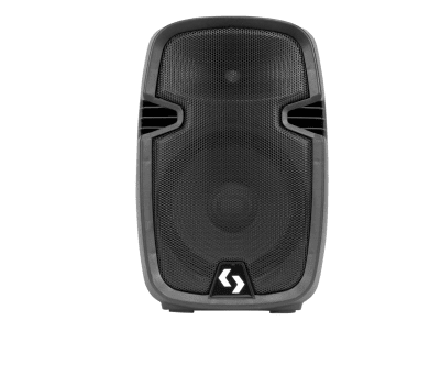 CAJA ACTIVA 250 WATTS3