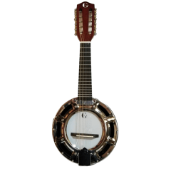 Banjo Electroacústico 10 Cuerdas con Funda GCR® YWBJ