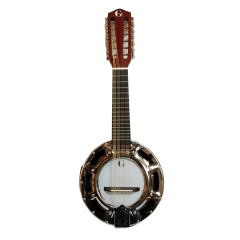 Banjo Electroacústico 12 Cuerdas con Funda GCR® YWBJ-12