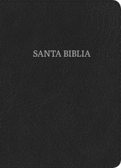 BIBLIA NVI LETRA GRANDE TAMAÑO MANUAL CON ÍNDICE