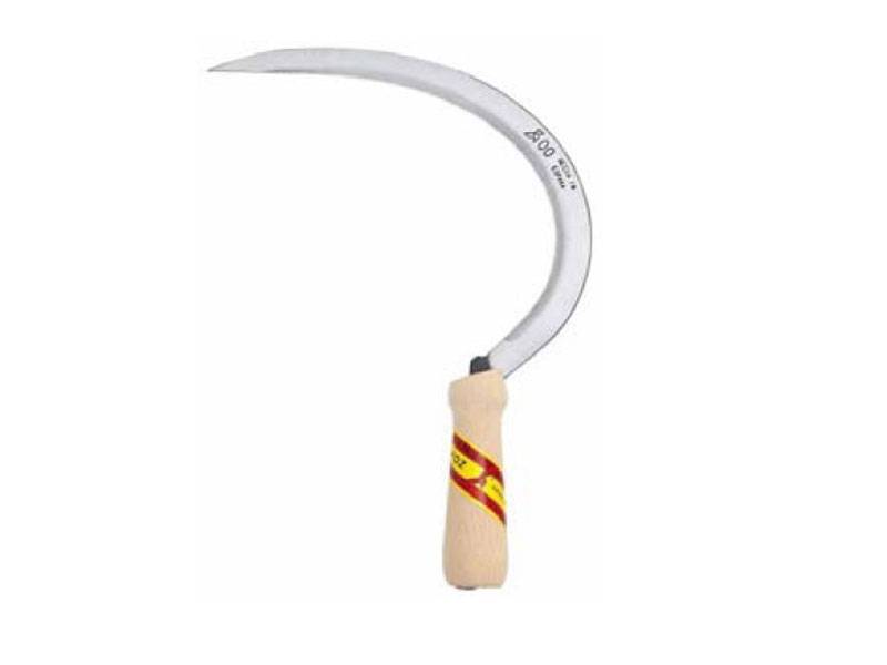 ECHONA PAJARITA N 22