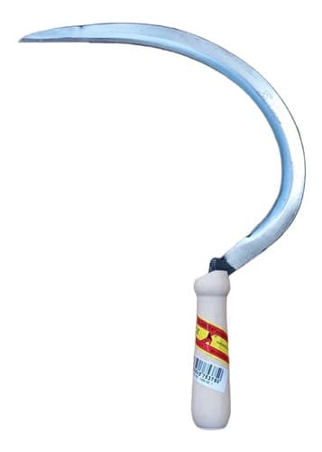 ECHONA PAJARITA N 21