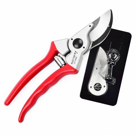 TIJERA P/PODA BELLOTA2