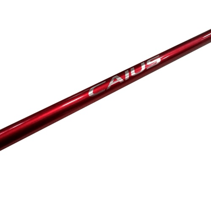 Caña Shimano Caius Casting 2,10M1