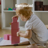 Montessori Sensorial