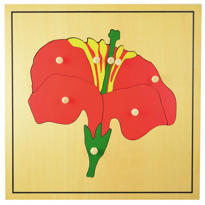 Puzzle Montessori flor 8pz Puzzle Montessori flor 8pz