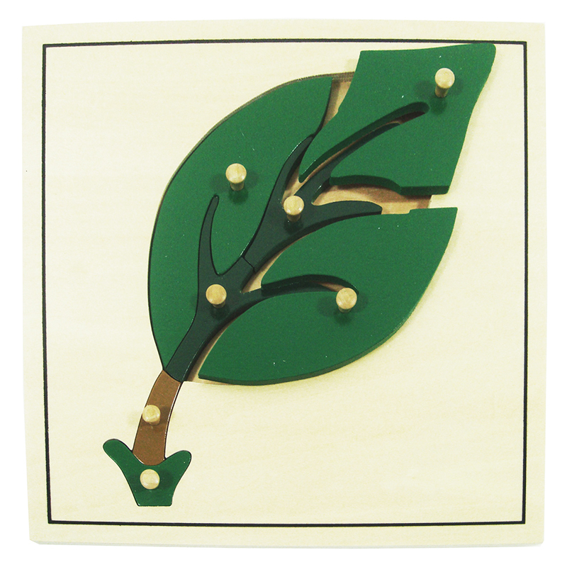 Puzzle Montessori hoja 7pz Puzzle Montessori hoja 7pz