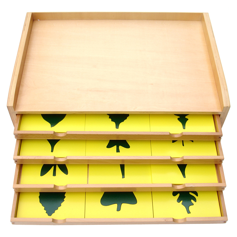 Gabinete Botánico 24pz Montessori Gabinete Botánico 24pz Montessori