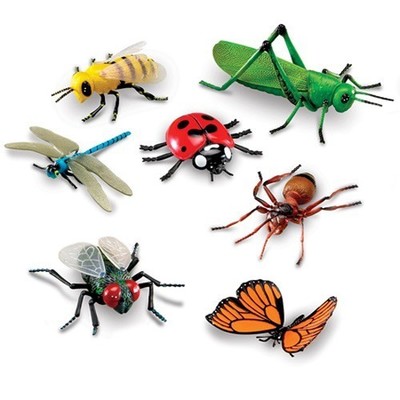 Insectos jumbo set de 7pz1