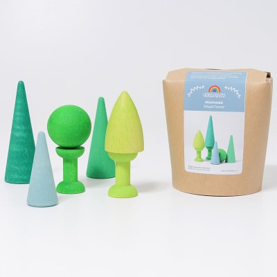 Bosque mixto1