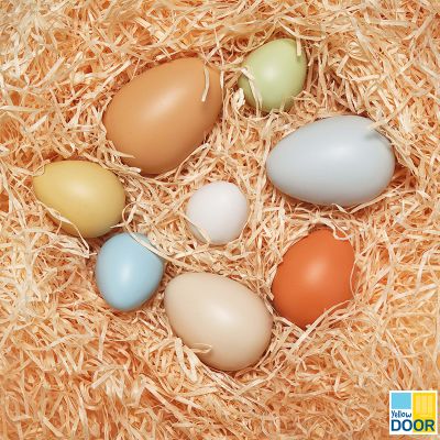 Set 8 huevos sensoriales para clasificar1