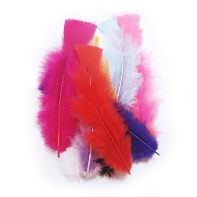 Mix 9 plumas de colores1