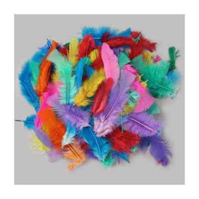 Mix 100 plumas de colores HC1