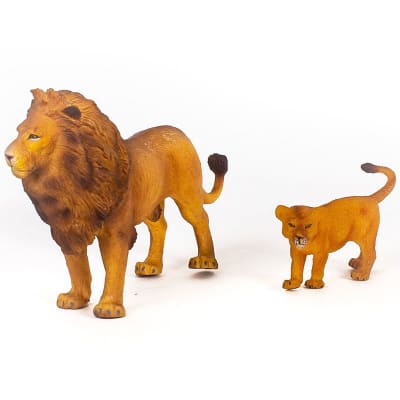 Set de 2 leones1