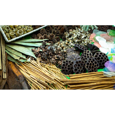 Caja tesoros de botánica