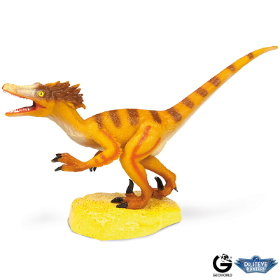 Dr. Steve - Dinosaurs Collection Velociraptor1
