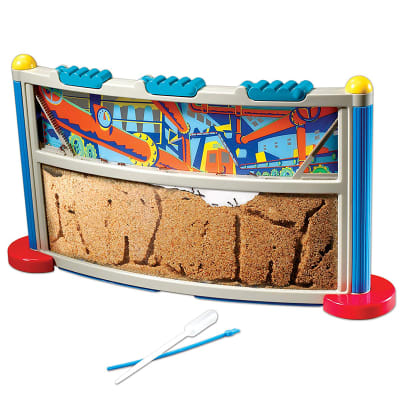 Fábrica de hormigas GeoSafari®1