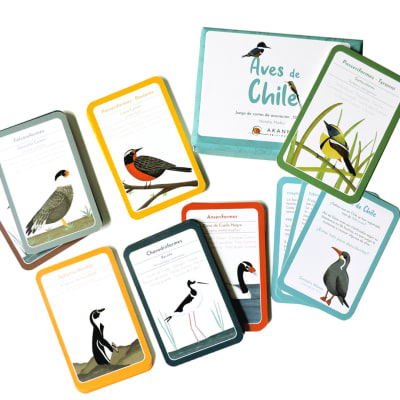 Juego de cartas de asociación 52pz Aves de Chile1