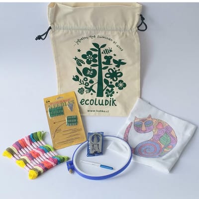 Kit mi primer bordado