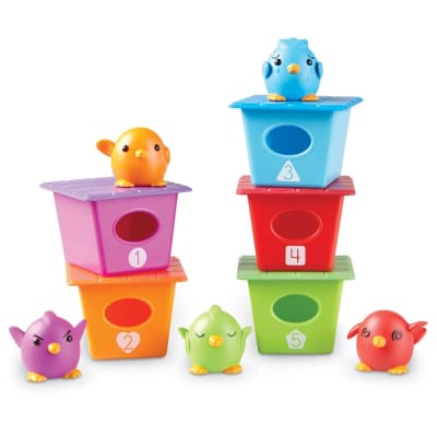 Pájaros didácticos que juegan al escondite 15pz1