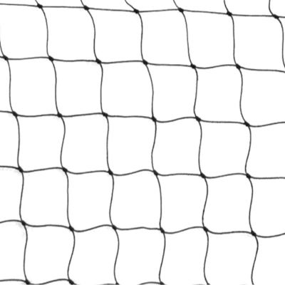 Red de Voleibol standard1