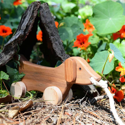 Perro de arrastre, línea madera nativa1