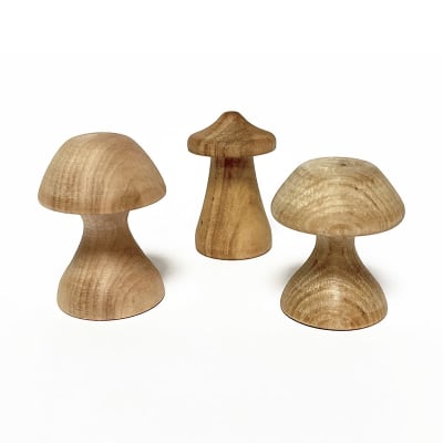 Set 3 hongos, línea madera nativa1