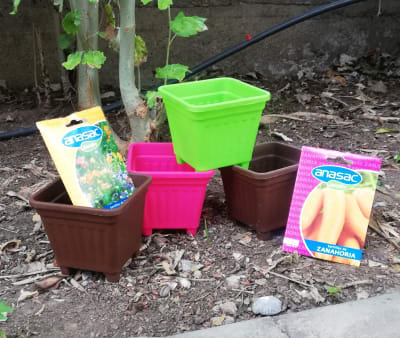 Te invito a plantar! Kit 6pz1