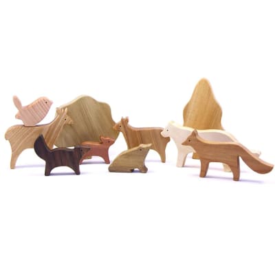 Set sur de Chile 10pz, serie madera nativa1