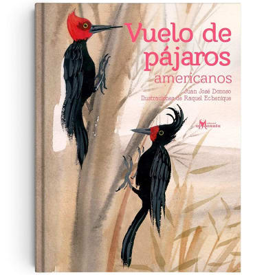 Vuelo de pájaros americanos1