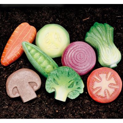 8 Piedras sensoriales vegetales1