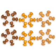 Mandala setas marrones 36 piezas