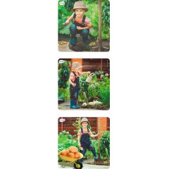 Puzles progresivos plantas 6, 12 y 25pz