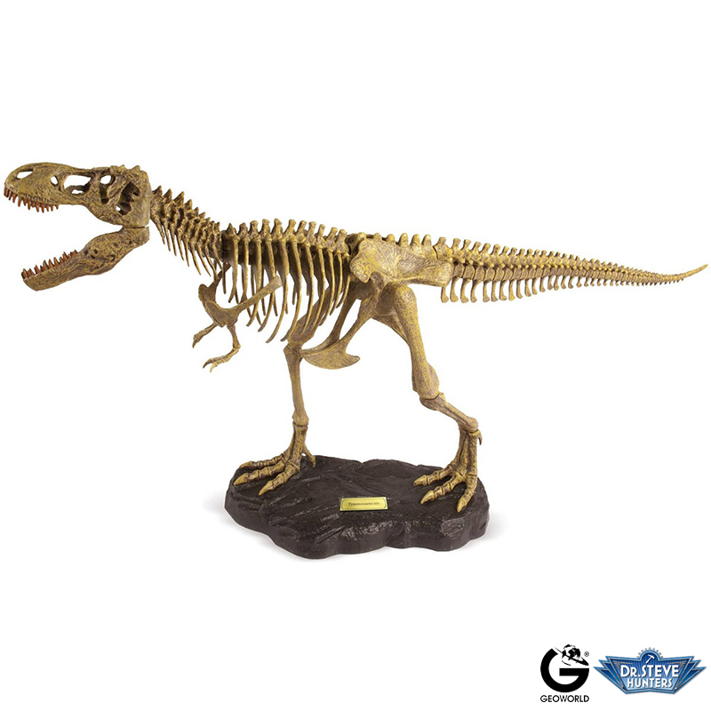 Dr. Steve Paleo Expeditions T-Rex Full Skeleton model Kit | Nuevo