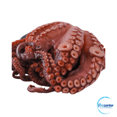 Pulpo del norte Crudo entero iqf 1.5-2 kg