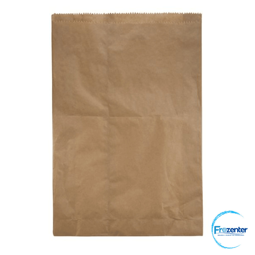 Saco papel kraft 0700 100und1