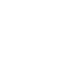 GRUPO PIZARRO - LOS OLIVOS