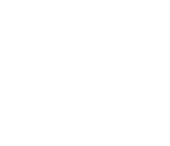 GRUPO PIZARRO - CAÑETE