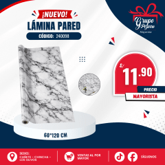 LAMINA 240098