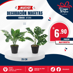 MACETAS PLANTA