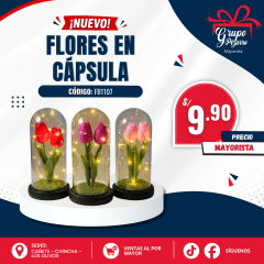 RECUERDO CUPULA