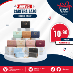 CARTERA DAMA 140597