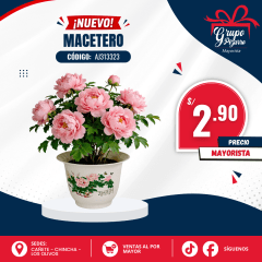 MACETERO-AJ313323