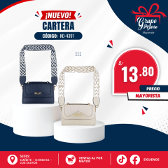 CARTERA KD-4391