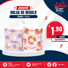 BOLSA DE REGALO 256