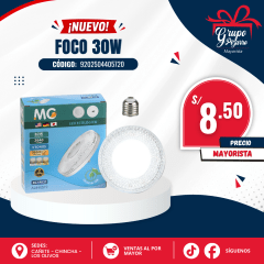 FOCO MANGO  PLANO 30W