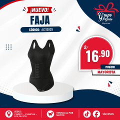 FAJA 29