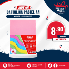 CARTULINA ESCOLAR PASTEL SURTIDO